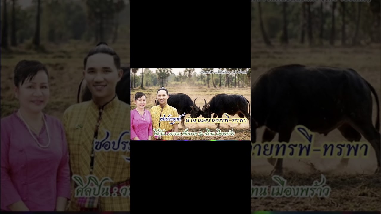ซอ ตำนานควายทรพี-ทรพา  : ศรีทน เมืองพร้าว & วรรณา สันทราย