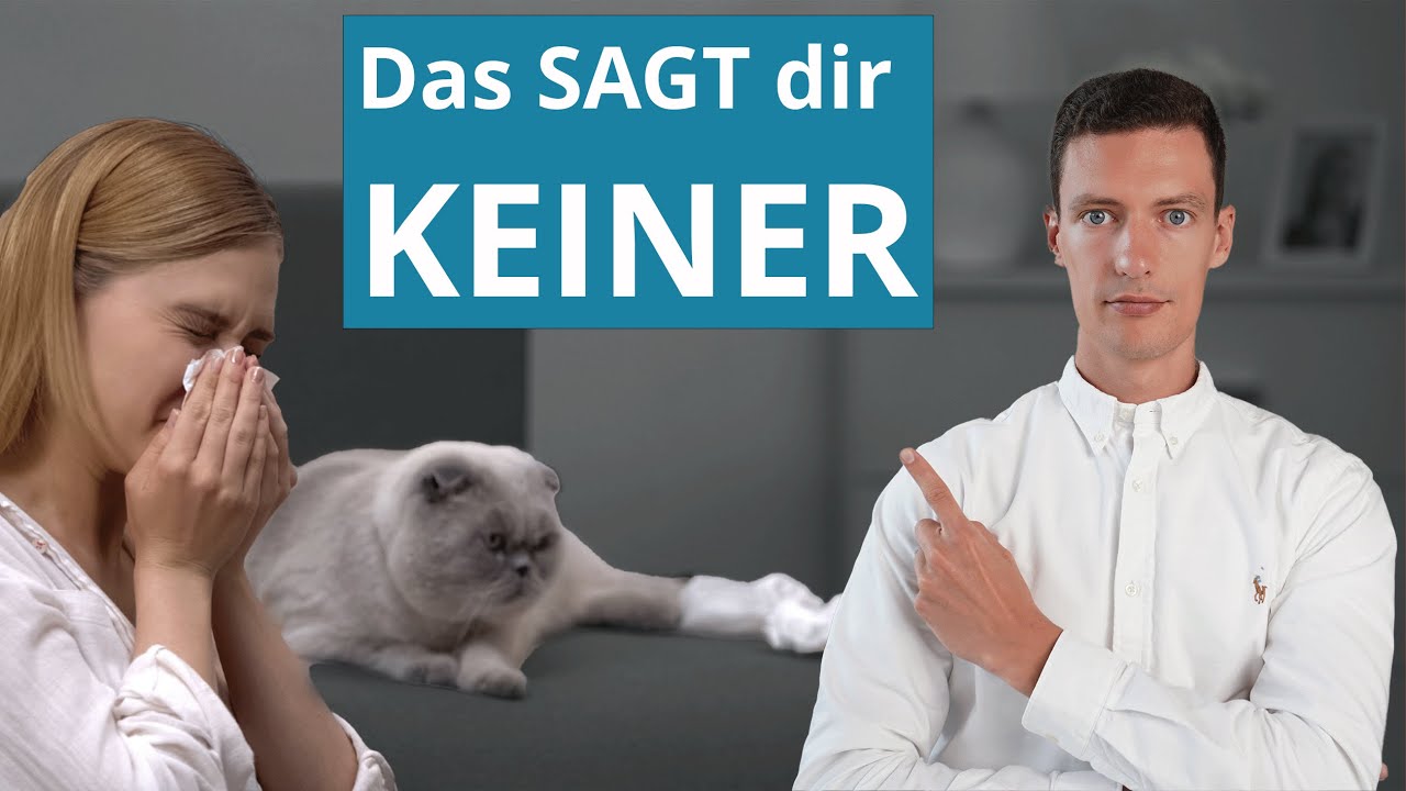 Tierhaarallergie: So kannst du deine Symptome lindern