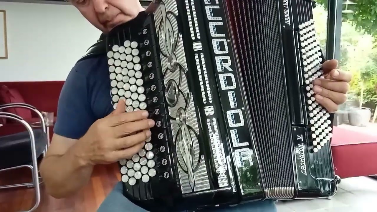 +491788835231 Баяны Аккордеоны изГермании.Accordiola Chromaton V De  Luxe.Cassotto Bgrif