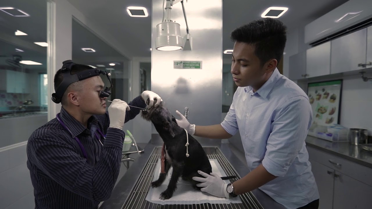 Marikina Veterinary Hospital