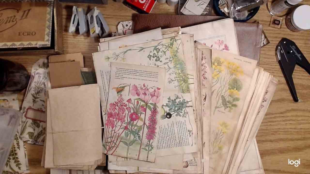 Simple, Pretty Tags made with repurposed card and botanical book pages