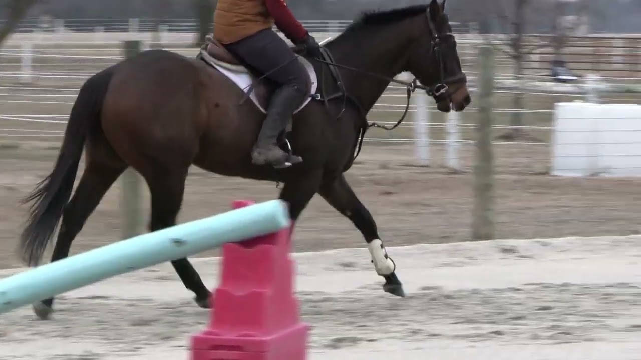 Kissling first post track ride 2 16 26