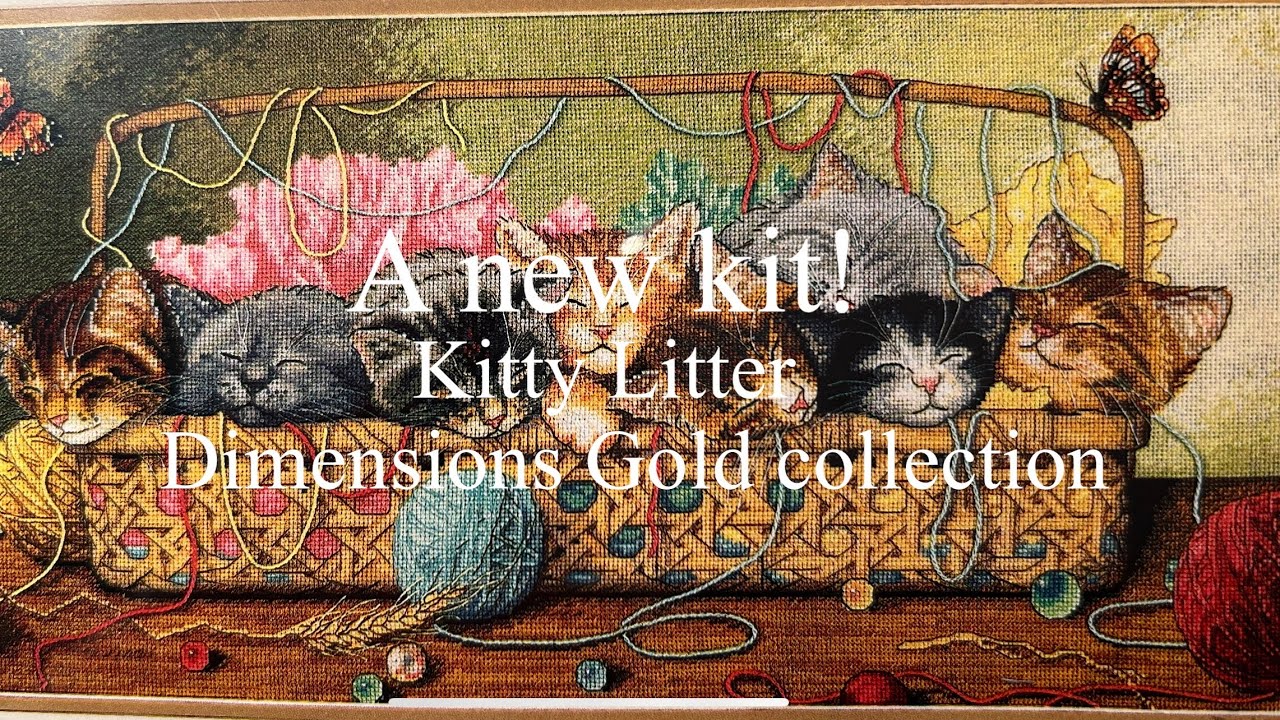 A new kit. Kitty litter from Dimensions Gold collection