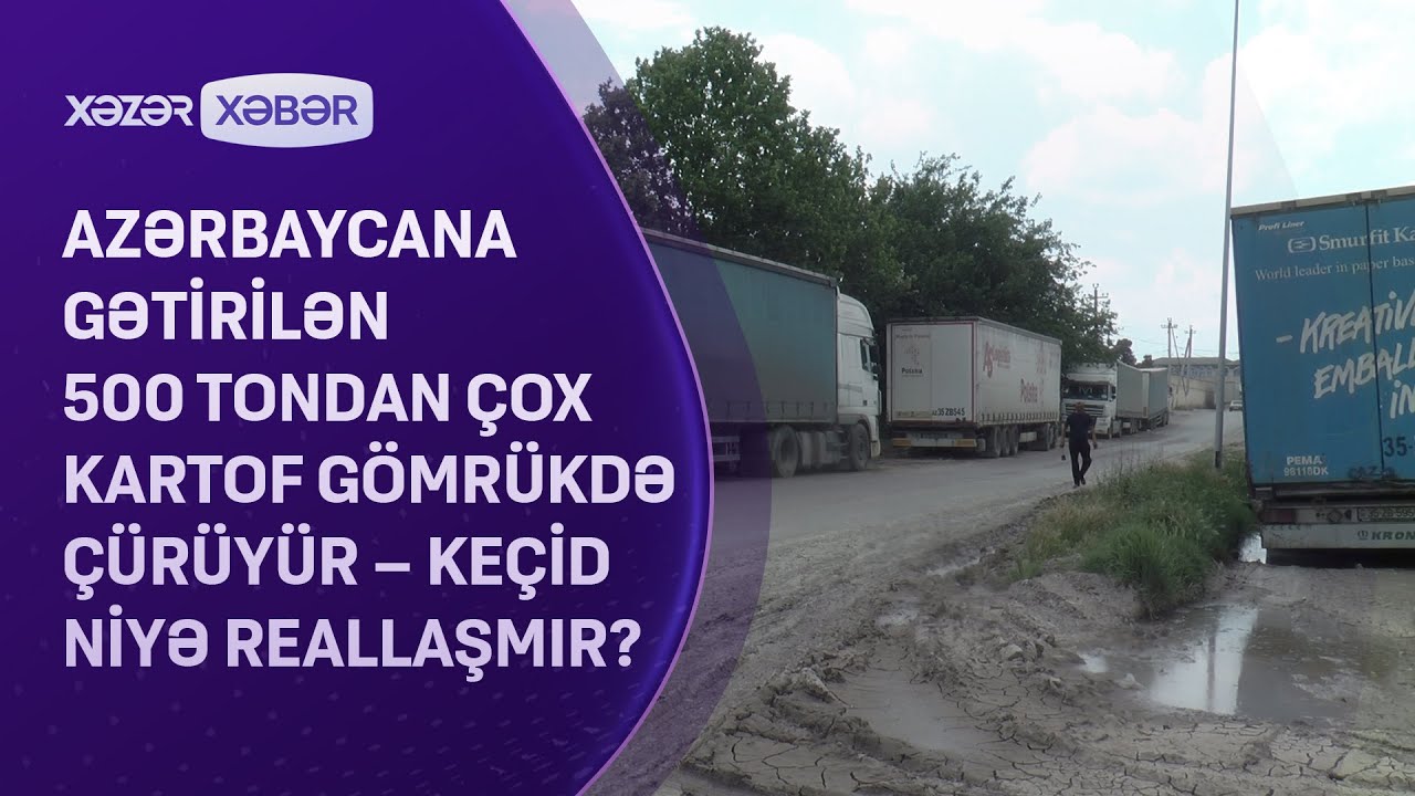 Azərbaycana gətirilən 500 tondan artıq kartof gömrükdə çürüyür - Keçid niyə reallaşmır?