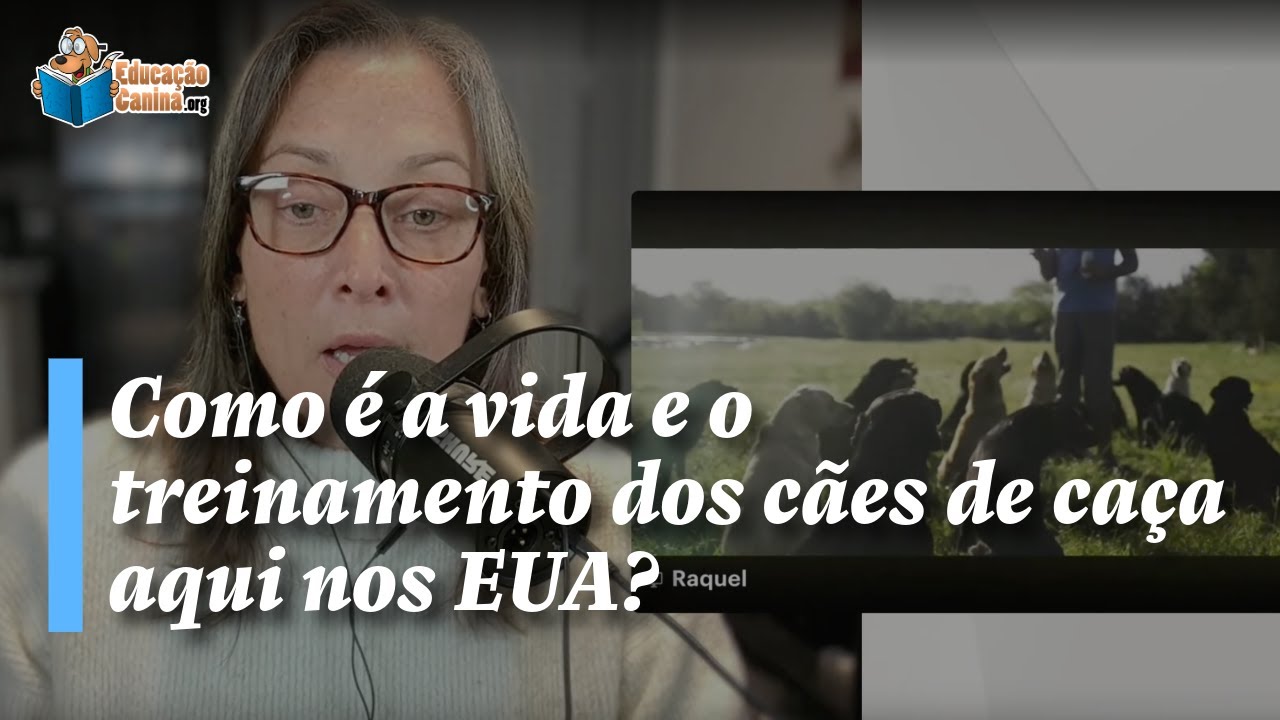 Como é a vida e o treinamento dos cães de caça aqui nos EUA?