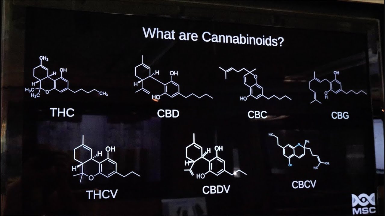 Molecular Science Corp & PNW Collaboration