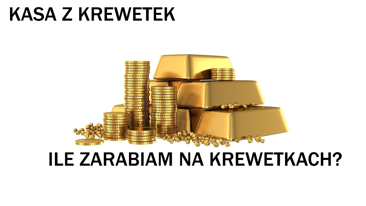 Ile ZARABIAM na Youtube? - Jak zarobić na KREWETKACH i jak zarabiają na krewetkach Youtuberzy?