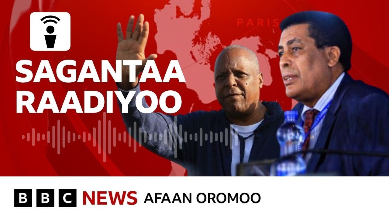 Piroofeesar Mararaa Guddinaa Itoophiyaa keessa filannoof haalli hayyamu hin jiru jedhan