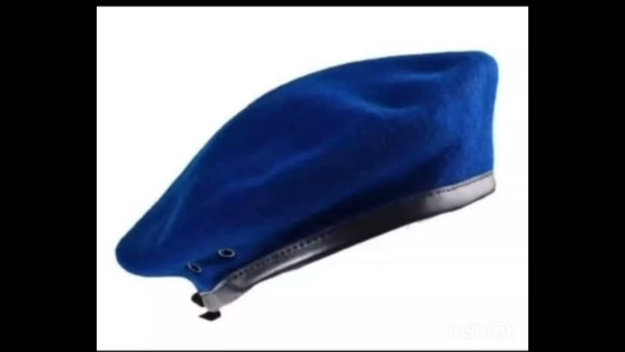 APA NEST 17Th ANNIVERSARY 