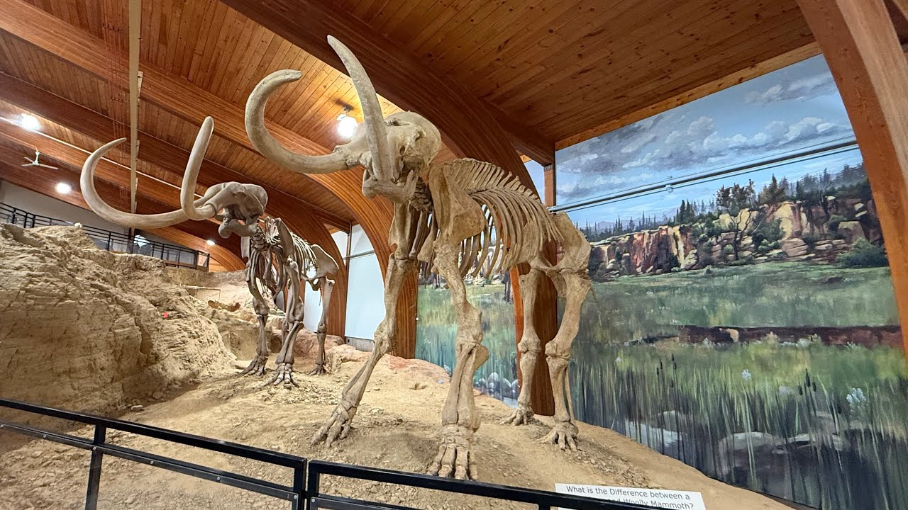 The Mammoth Site, Hot Springs, South Dakota! Sink Hole Filled With Hundreds Of Mammoths!