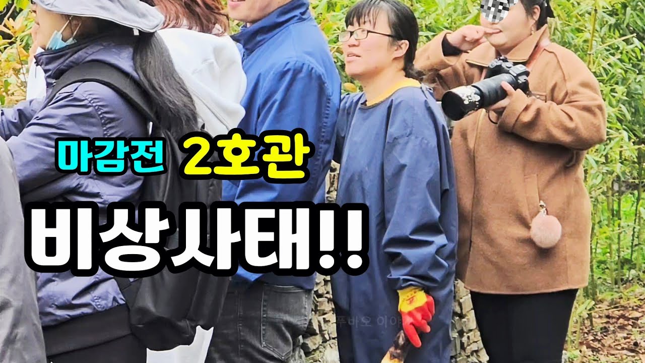 26.3.13 마감전 푸바오실시간 판464님이 죽순들고 밖으로 나온이유는,?