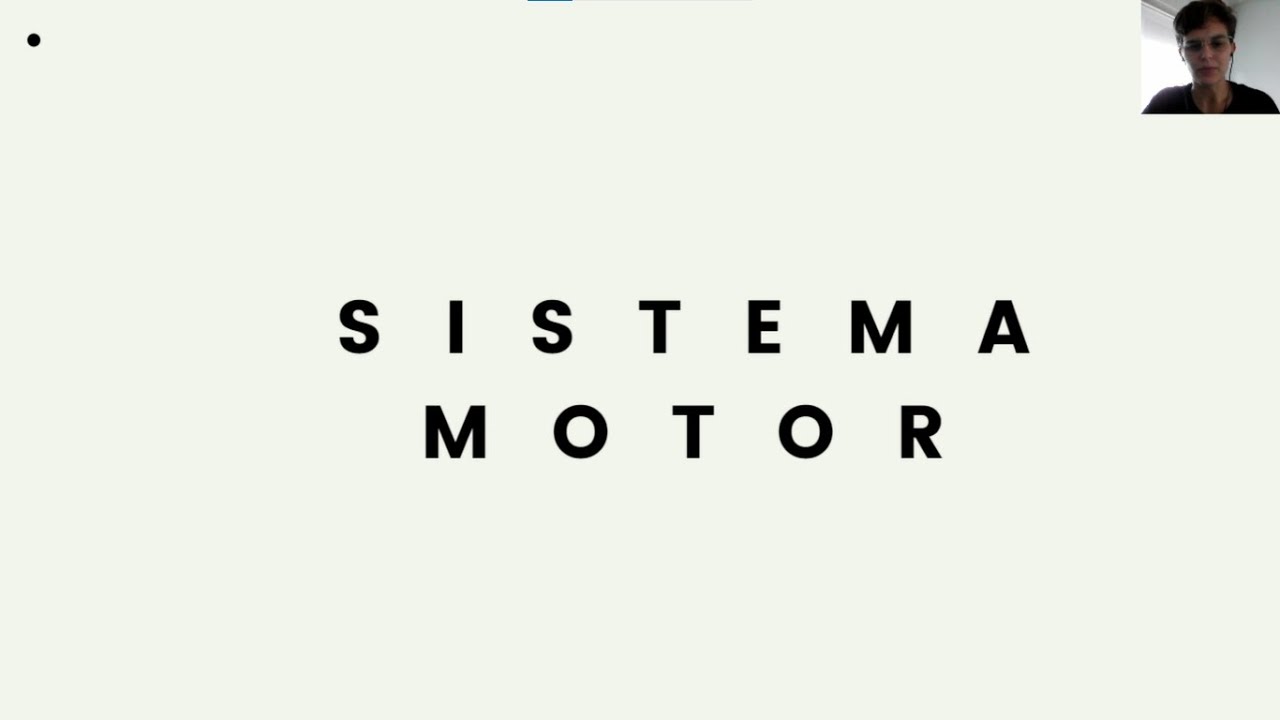 Sistema Motor
