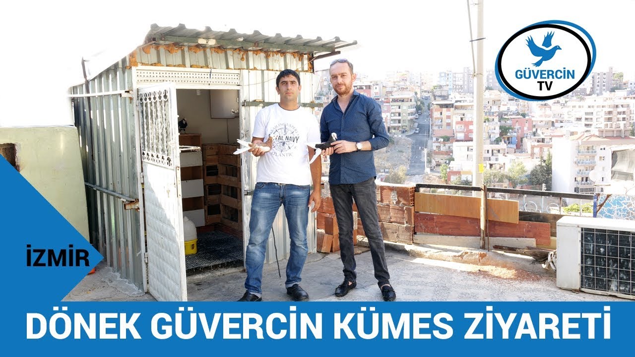 Dönek Güvercin Kümes Ziyareti Abdullah Demir | Güvercin Tv