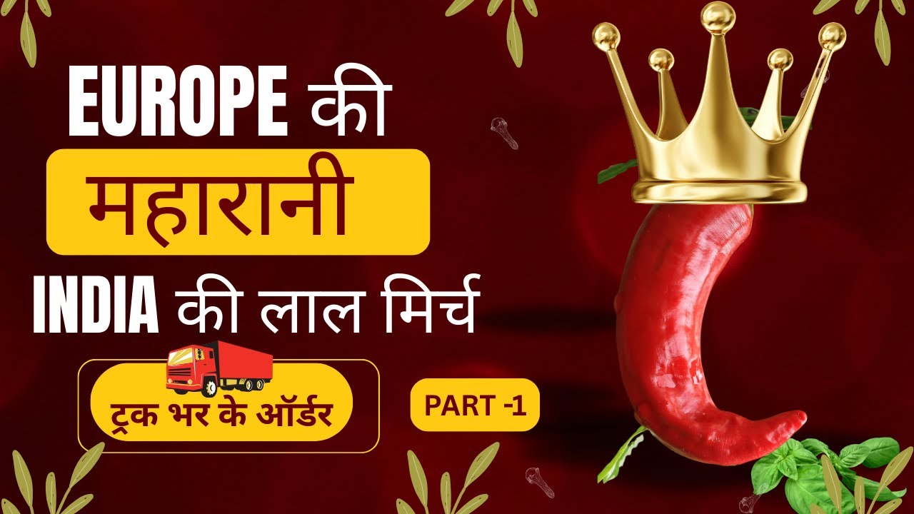 How to export dried chilli ? | CHILLI EXPORT BUSINESS | export and import business by Harsh Dhawan