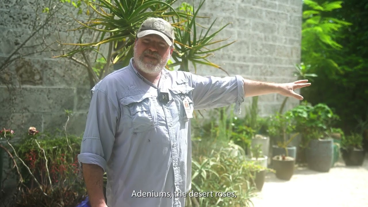 Step Into Fairchild's Tropical Desert Patio with Brett Jestrow