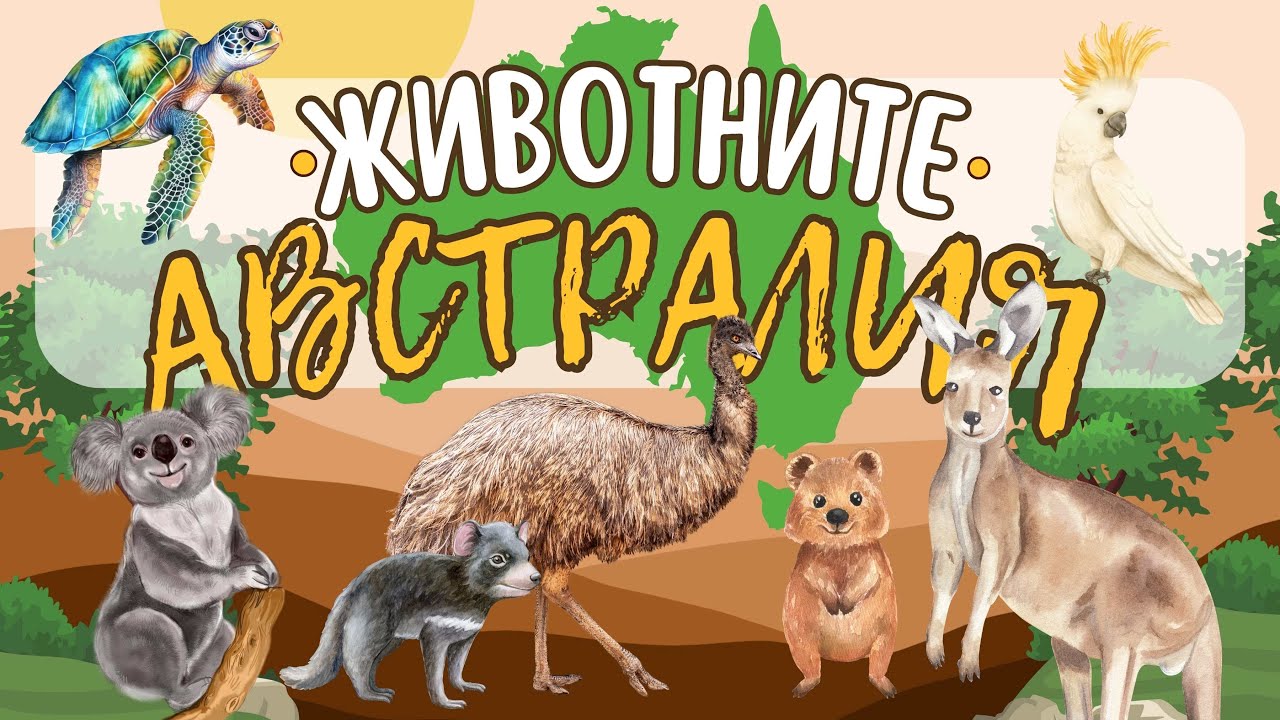 Животните в Австралия | Сладки животни | за най-малките 🦘🐢🐨
