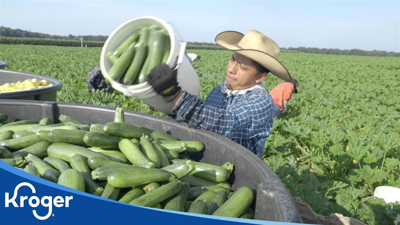 Dennisons Family Farms | Kroger Partners | Kroger