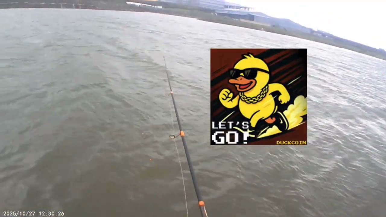 竹圍龜港不打龜～#手竿 #路亞 #推薦 #fishing 