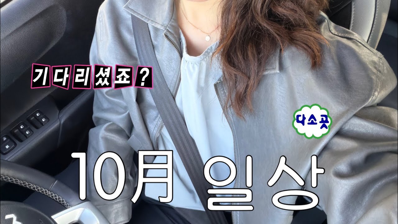 Vlog * 직장인 브이로그 | 오랜만에 찾아온 출근하는 일주일 일상 | 강릉 여행 ・ 프로젝트 헤일메리📖 ・ 나의 기록 루틴 |  너 지켜봄, 질문?