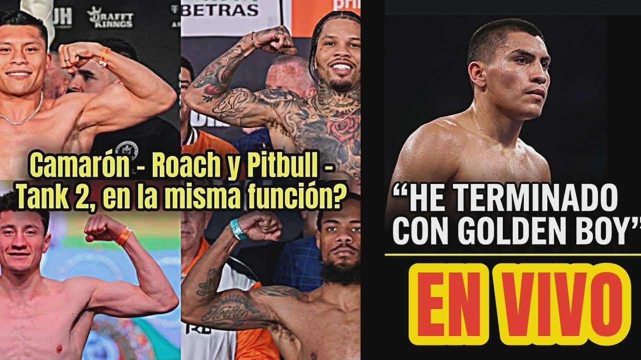 CAOS EN EL BOXEO: Pitbull Cruz busca venganza vs Tank Davis y Vergil Ortiz queda LIBRE