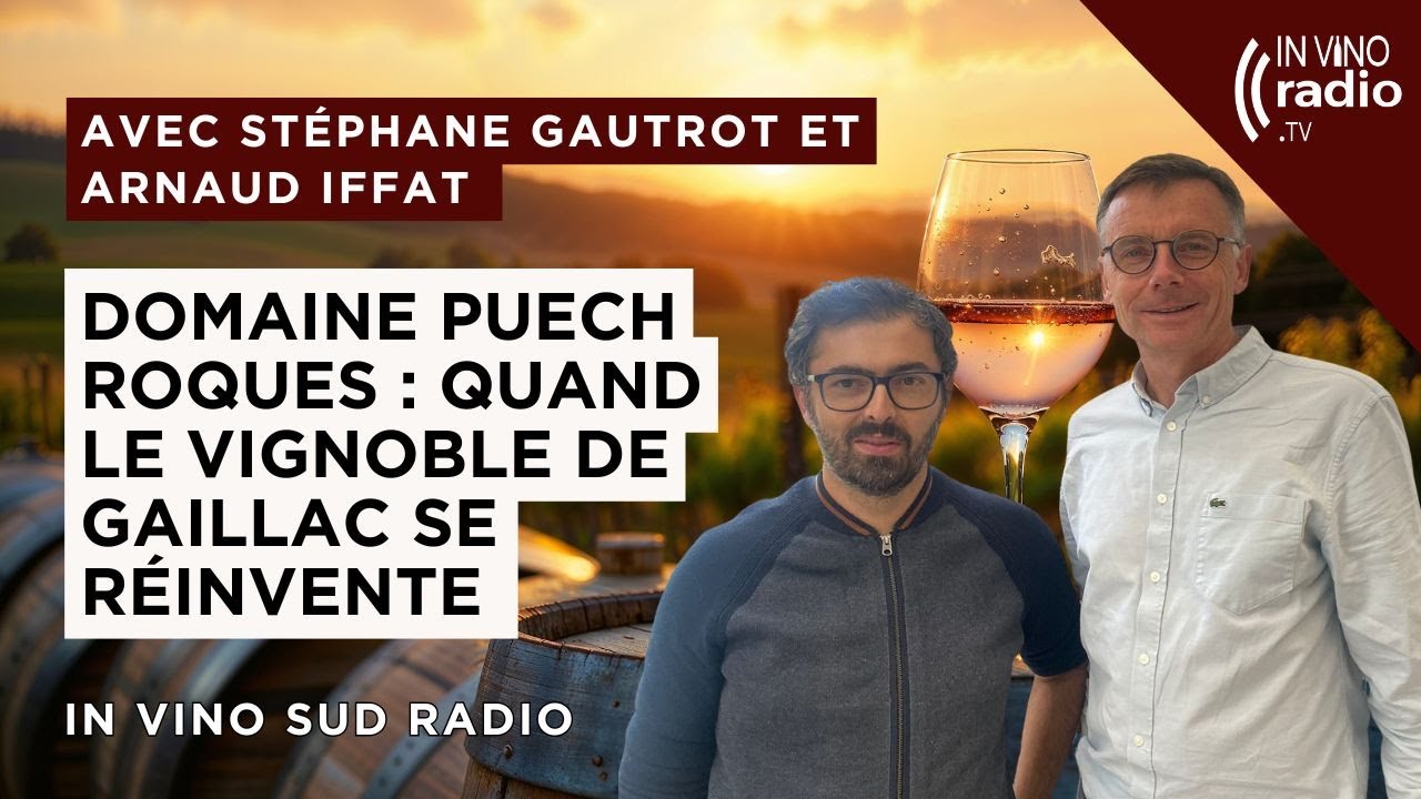 Domaine Puech Roques : quand le vignoble de Gaillac se réinvente