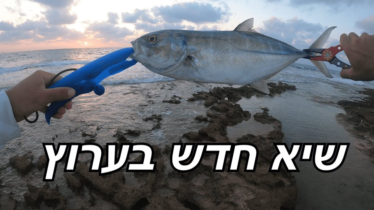 דייג בים 2025 שיא חדש בערוץ טרכון גדוללל ועוד טרכון חמוד בים גלי fishing blue runner big fish