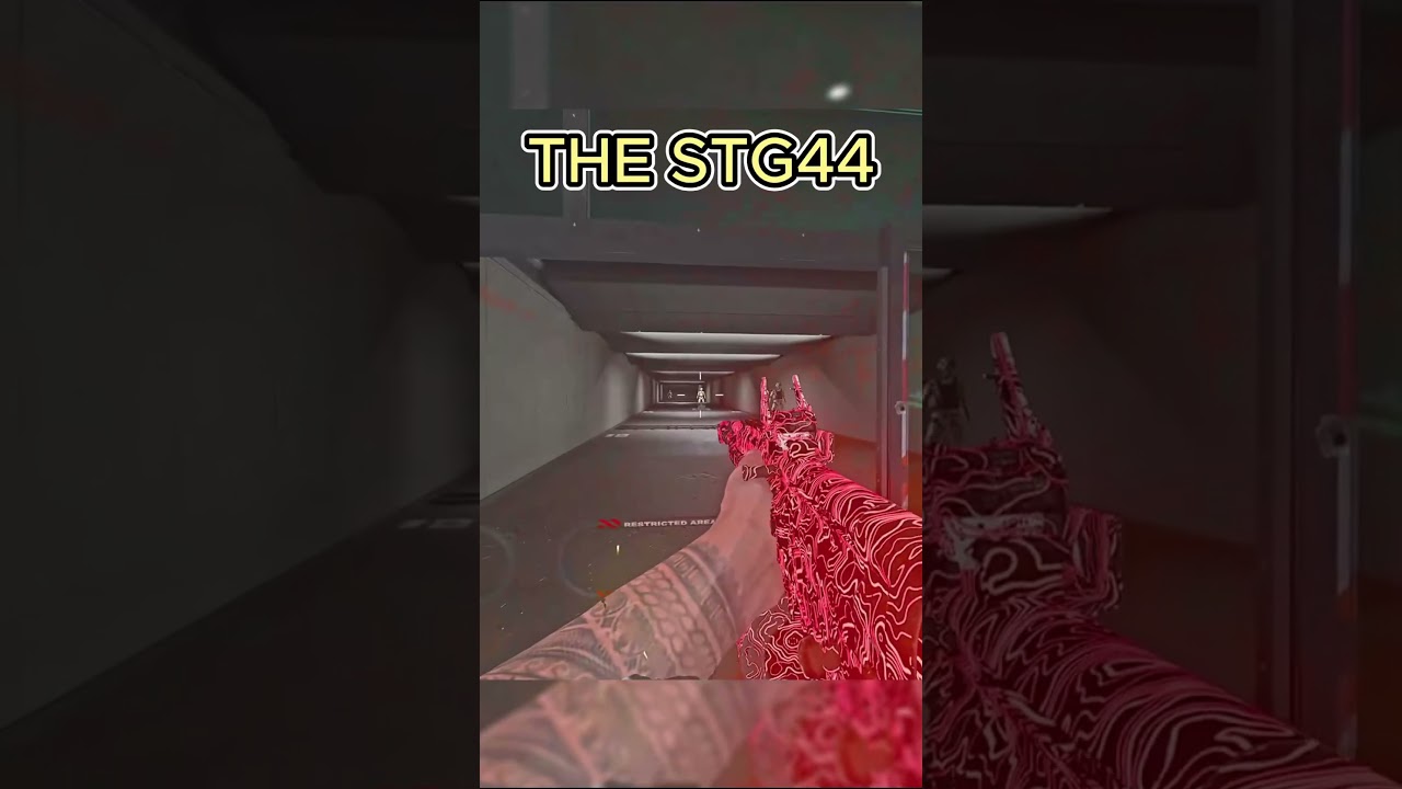 *NEW* STG 44 camo is a hidden gem! #warzone #shorts