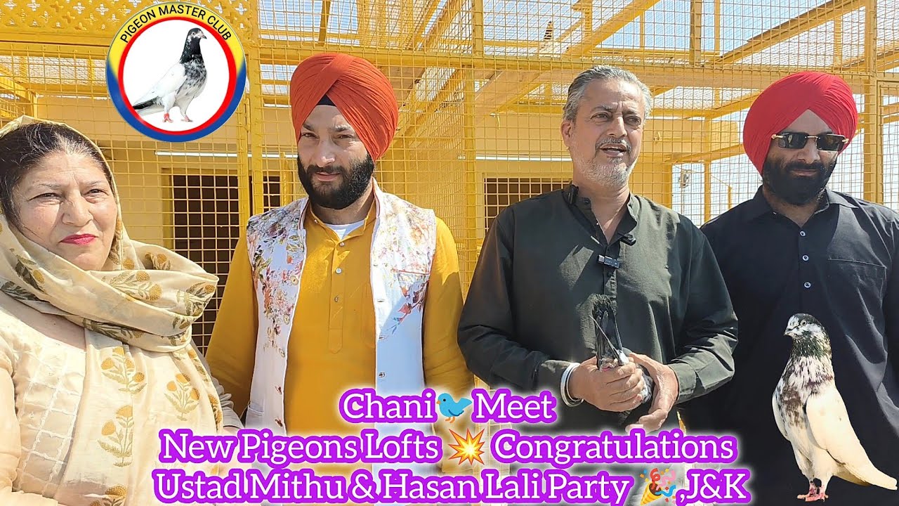 New Pigeons Lofts || Chani🐦Meet 💥 Congratulations 🎉 || Ustad Mithu & Hasan Lali Party 