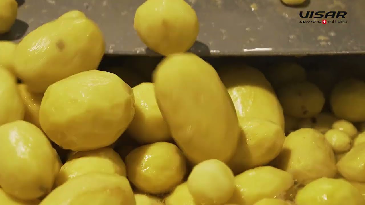 Visar Sorting Sàrl : Sortop Potatoes - Optical sorter for peeled potatoes