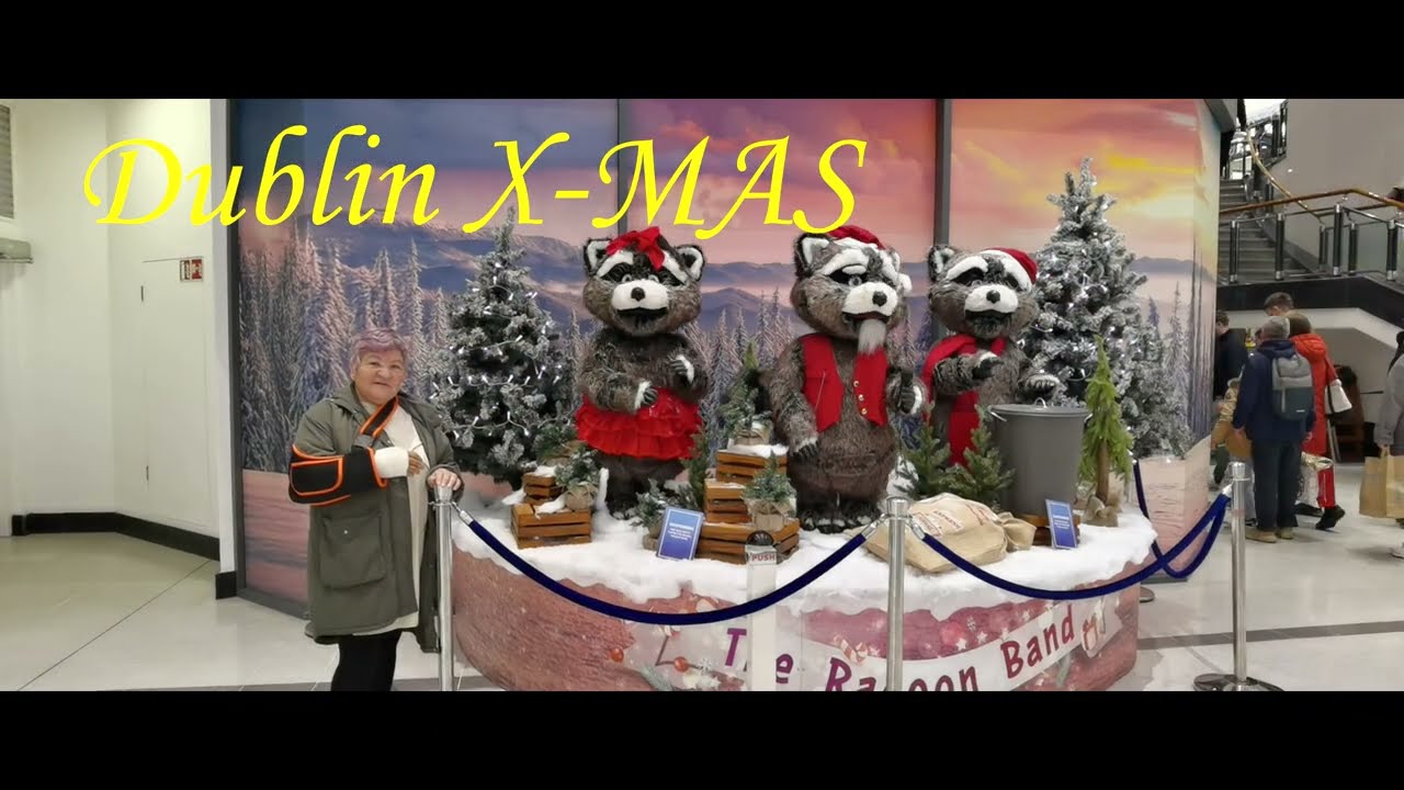 Dublin Natal 2025