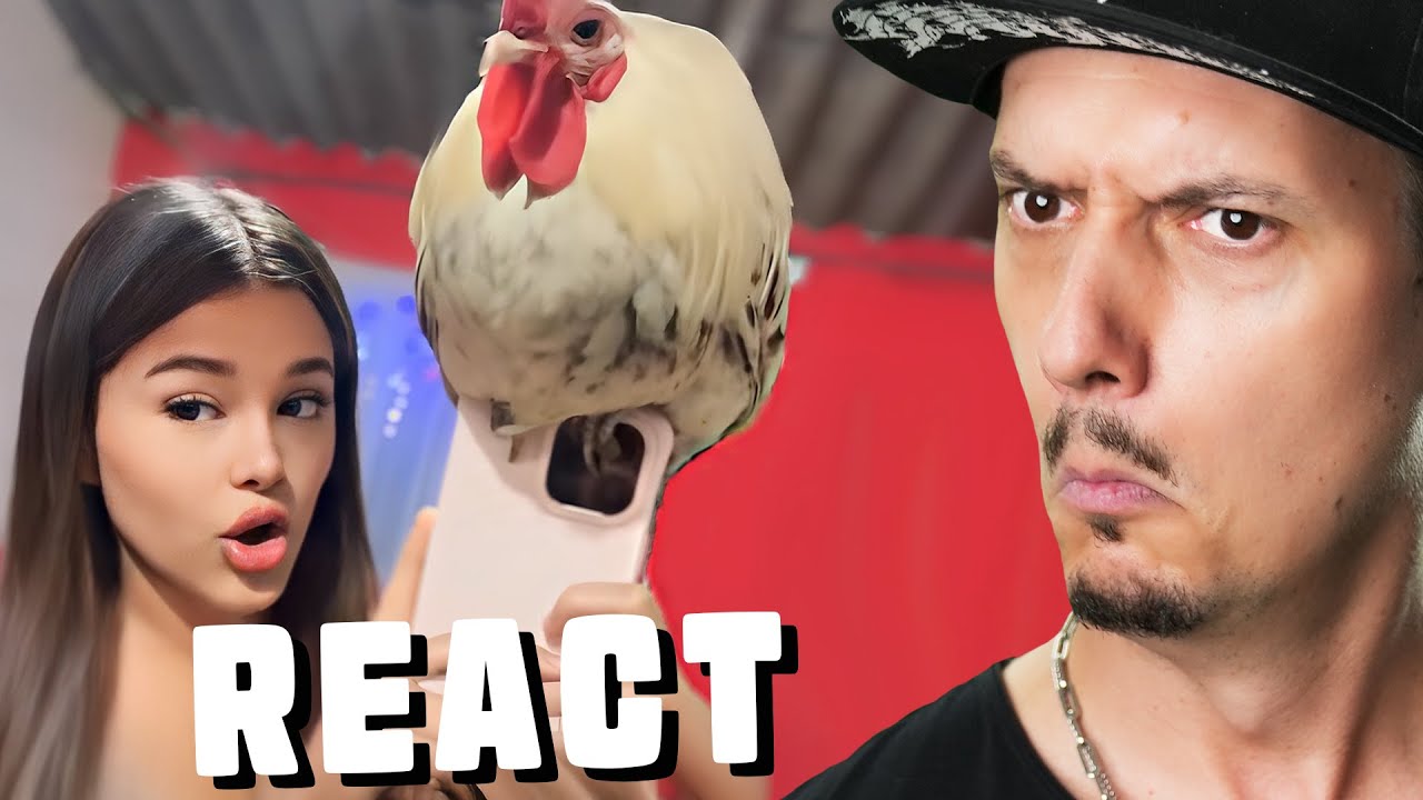 UNUSUAL MEMES COMPILATION V303 🤣 - React