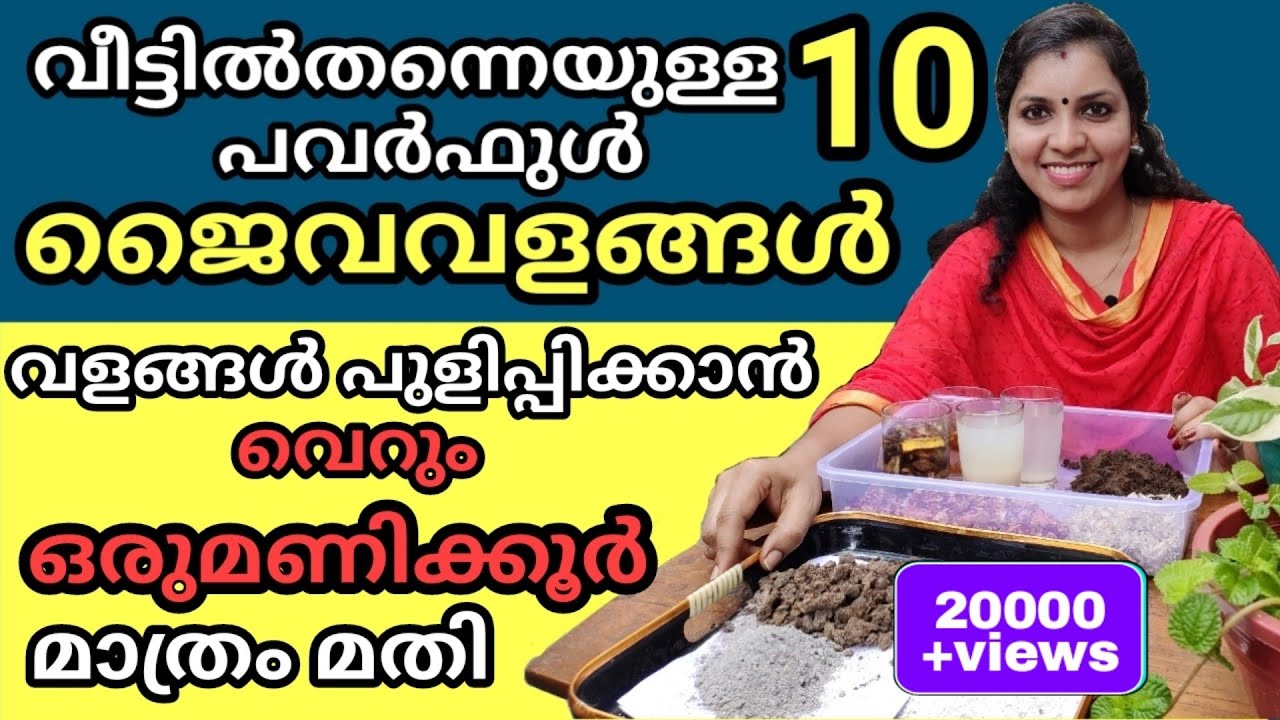 വീട്ടിൽതന്നെയുള്ള 10 പവർഫുൾ ജൈവവളങ്ങൾ|Ten top powerful home made fertilizer|