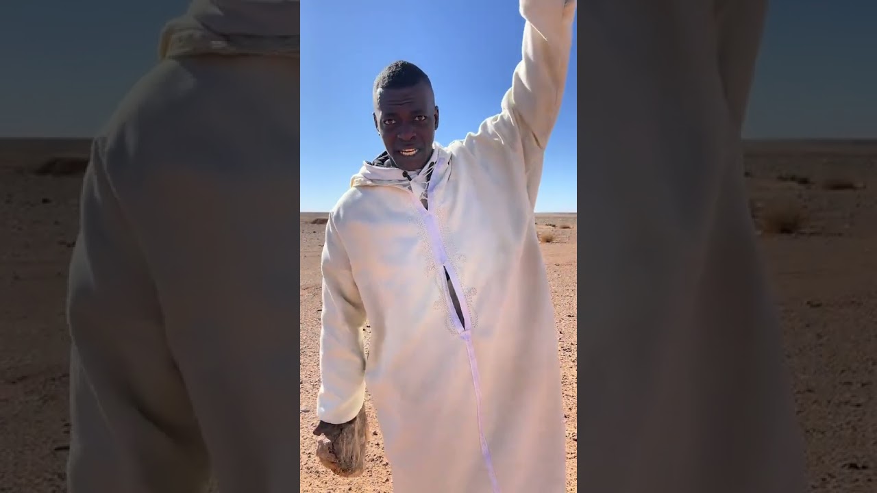#سندغنس#ytyo