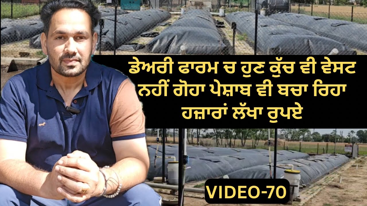 Dairy Farm De Gobe ton Chal Rahi 24 Ghante  Gas Te Sare Farm Di Bijli | Ardaas Farm ਆਲੇ 