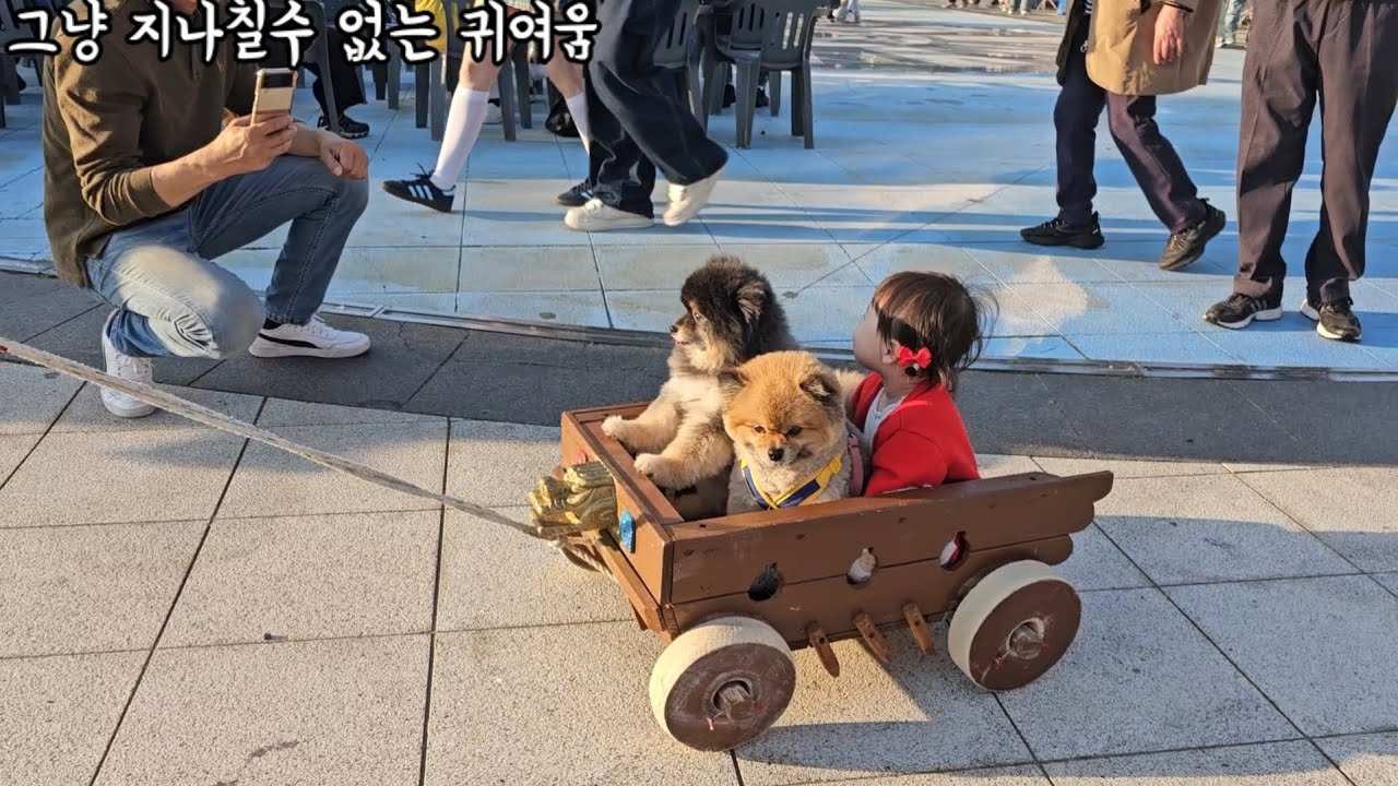 아기랑 강아지랑 축제 다녀왔어요 | 여수밤바다 보러 간 애개육아 여행 브이로그