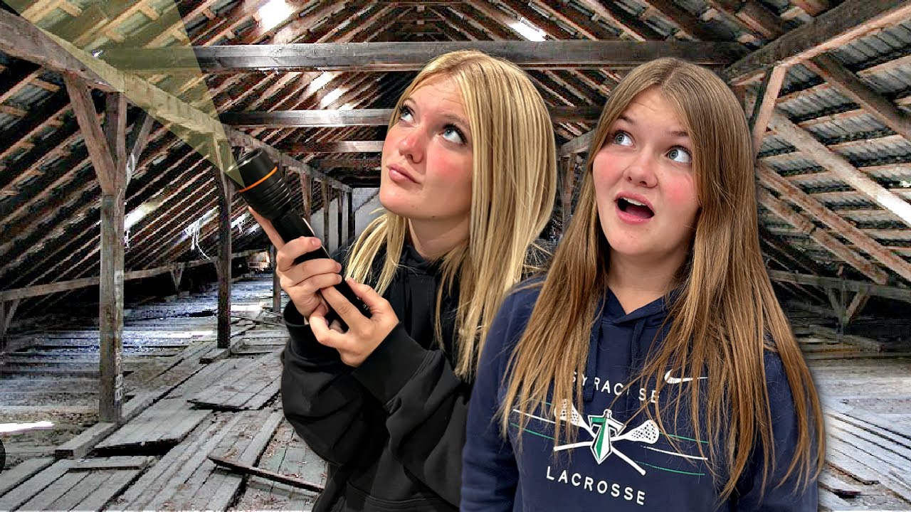 FiNDiNG Clues to the ATTiC DWELLER!
