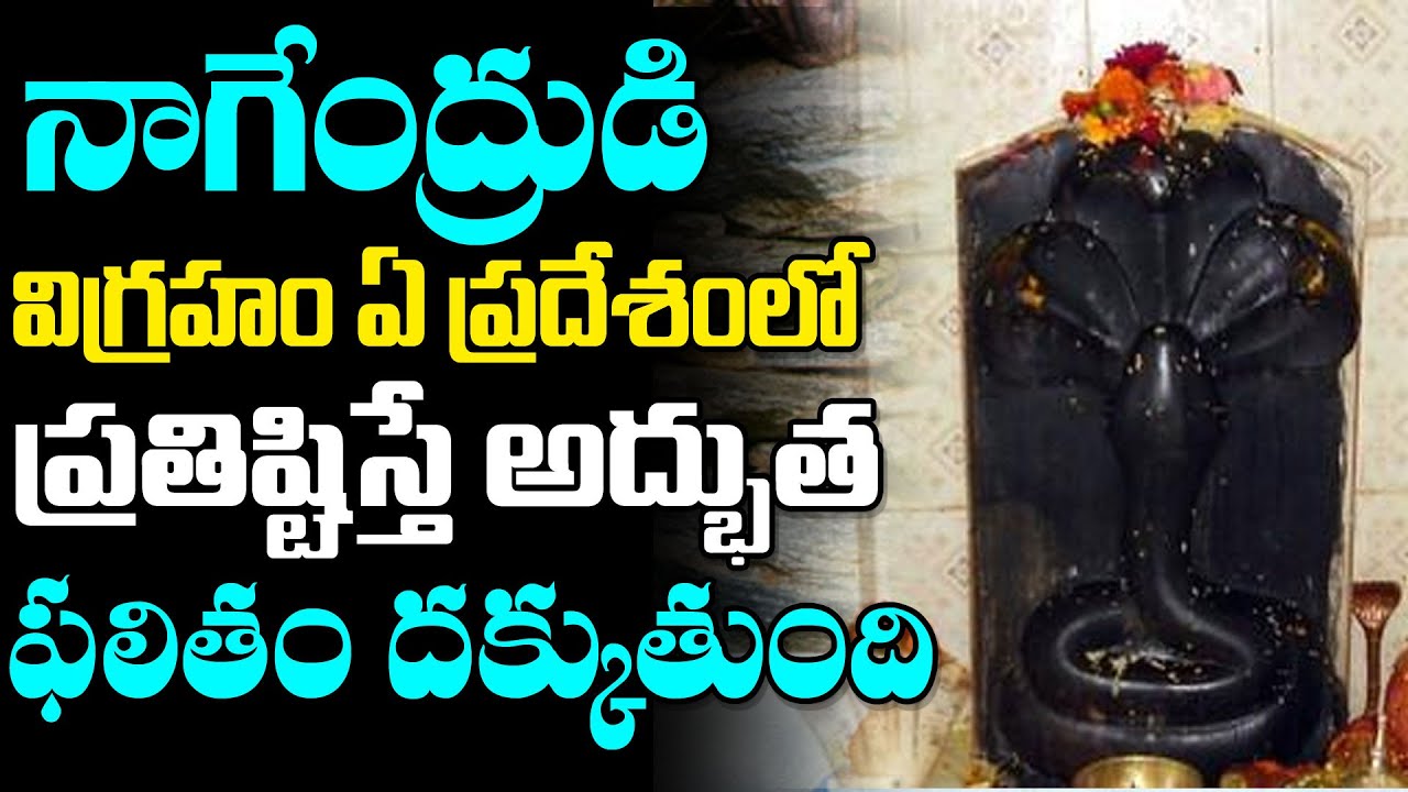 నాగేంద్రుడి విగ్రహం ఎక్కడ ప్రతిష్ఠిస్తే అద్భుత ఫలితాలు.. | Benefits of Naga Pratishta in Temples
