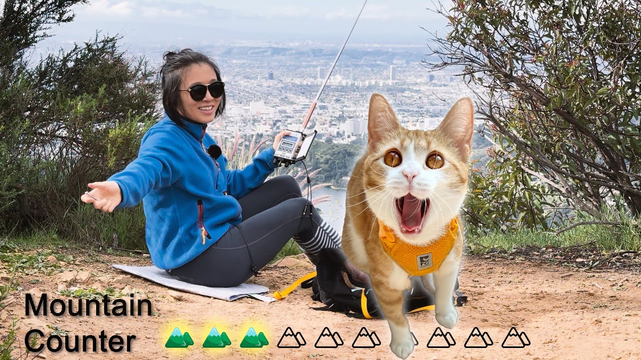 SOTA Cat встречает Elecraft KH1 | Азбука Морзе с Котом (для начинающих)