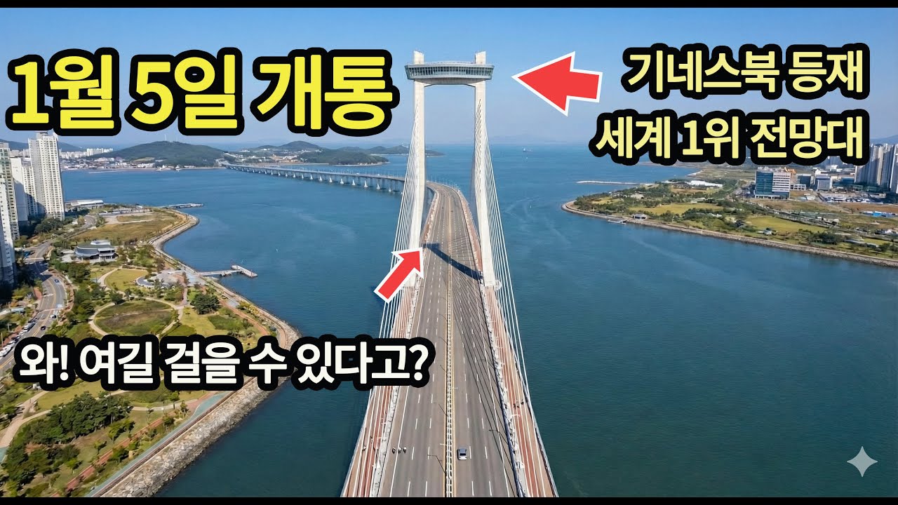🚈세계1위전망대 1월 5일 개통! 기네스북에 등재된 세계 최고의 해안대교 트레킹!