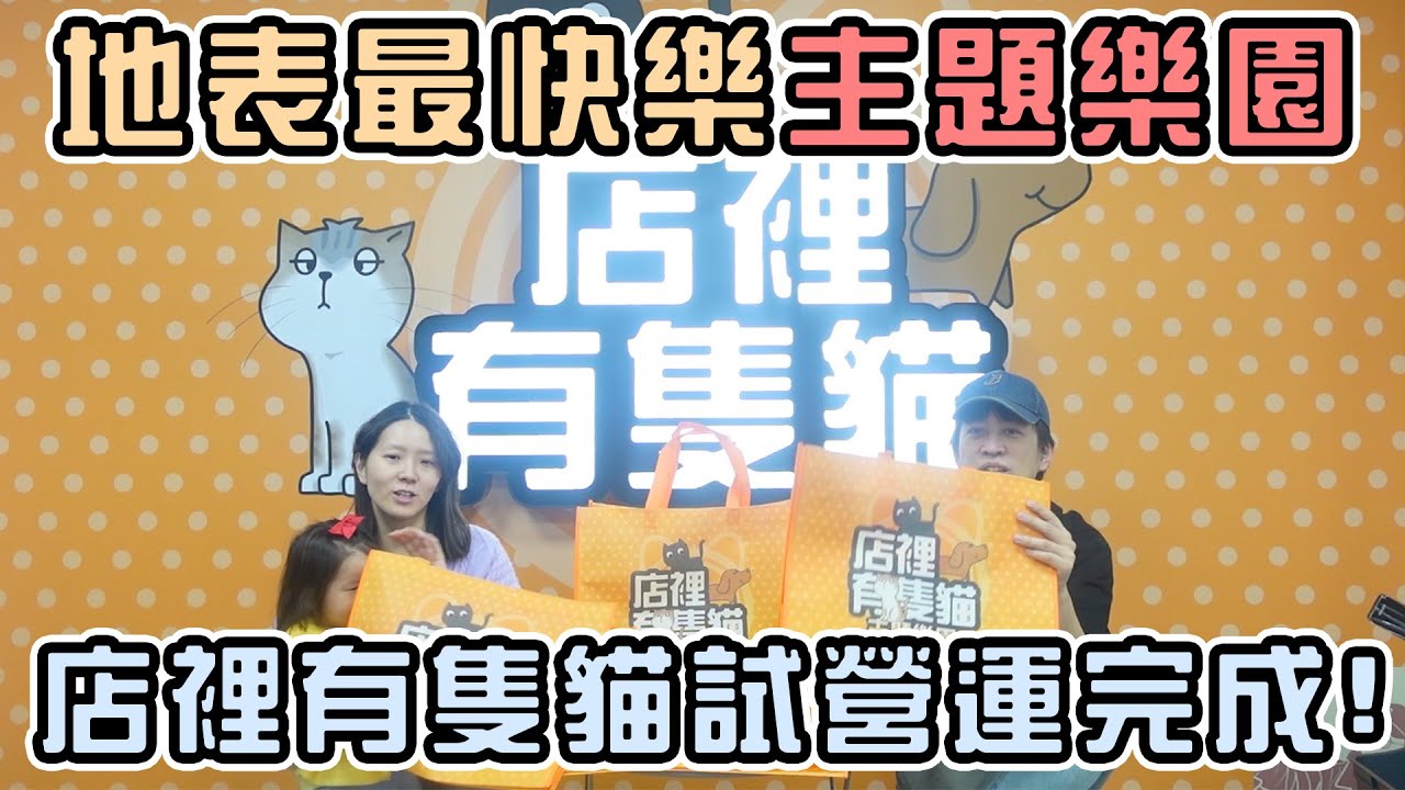 【店裡有隻貓】地表最快樂主題樂園！店裡有隻貓試營運完成！！|店裡有隻貓