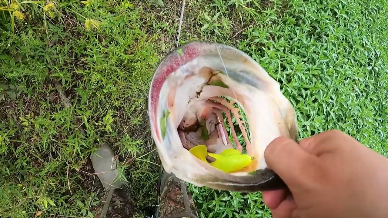 Pond Fishing For Bass With The MegaBass Sleeper Gill