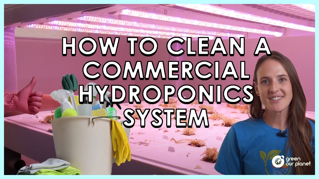 How to Clean a Sananbio Hydroponics System (HydroHealth)