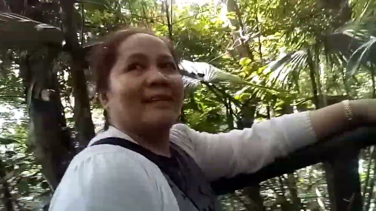 Bandilaan Nature Park /nature lover #siquijor #isladelfuego