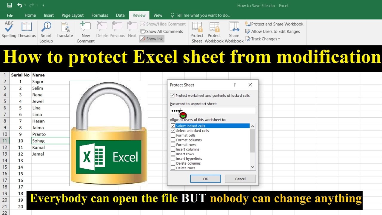 How to Protect Excel Sheet from Modification || MS Excel