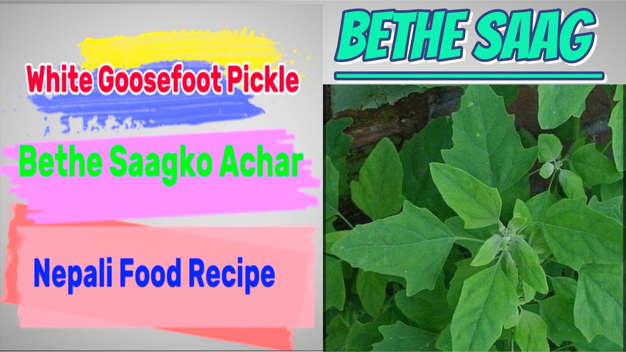 Nepali food बेथे सागको अचार white goosefoot pickle #cookingrecipes #cookingvlog #zunumagar #vlog