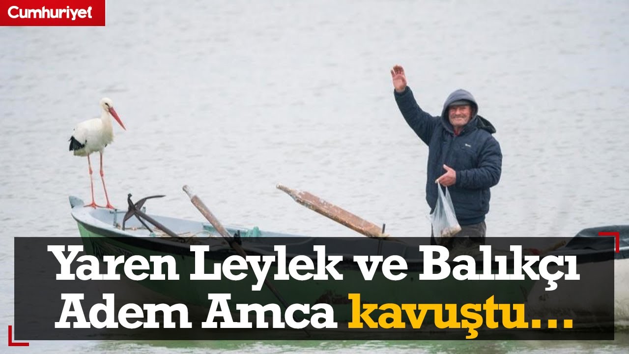 13 yıllık dostluk: Yaren Leylek Adem Amca'ya kavuştu