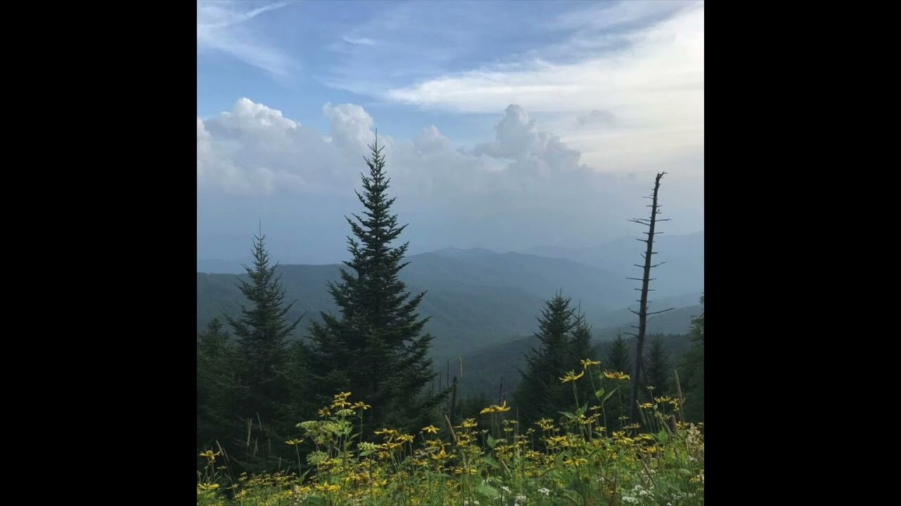 (free) indie folk + acoustic type beat 