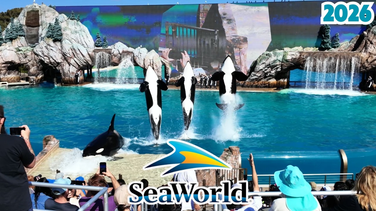 SeaWorld San Diego Walkthrough– Sea Lion, Orca & Dolphin Shows (4K)
