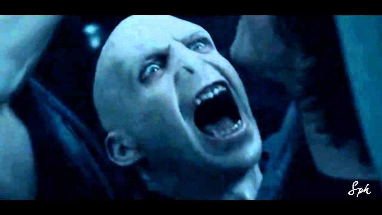 Harry Potter &bull; Freedom Fighter &bull; TRIBUTE