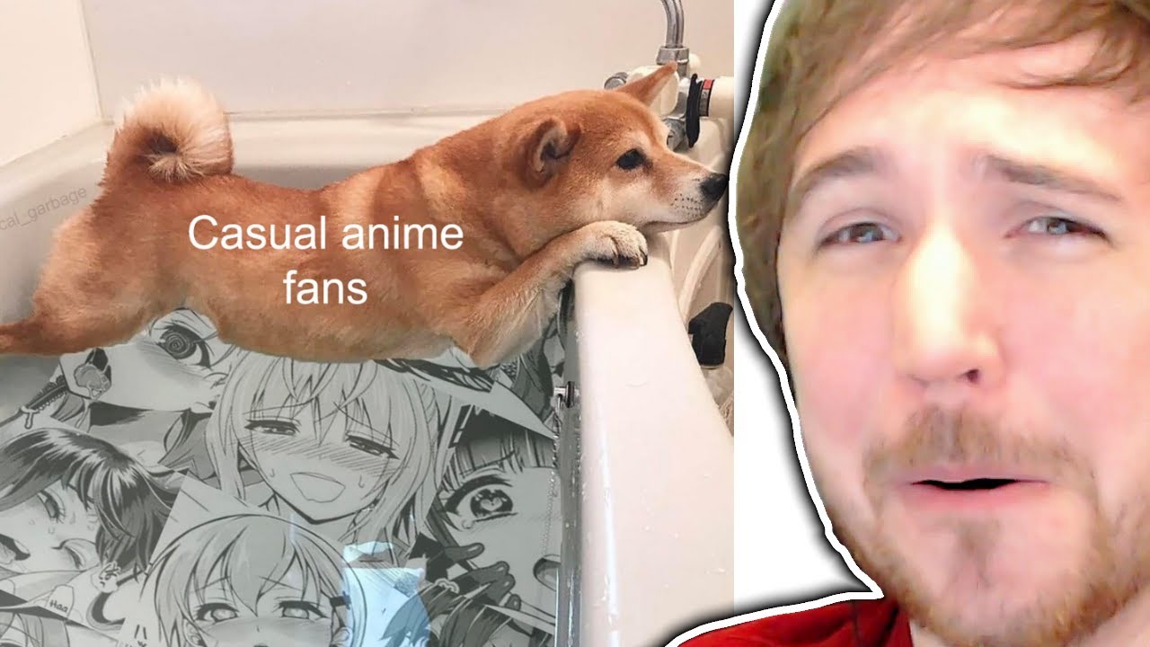 𝘏𝘌𝘕𝘛𝘈𝘐 MEMES (Falling into the Weird Side of Anime Edition)